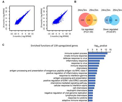 Biosystems Study of the Molecular Networks Underlying Hippocampal Aging Progression and Anti-aging Treatment in Mice